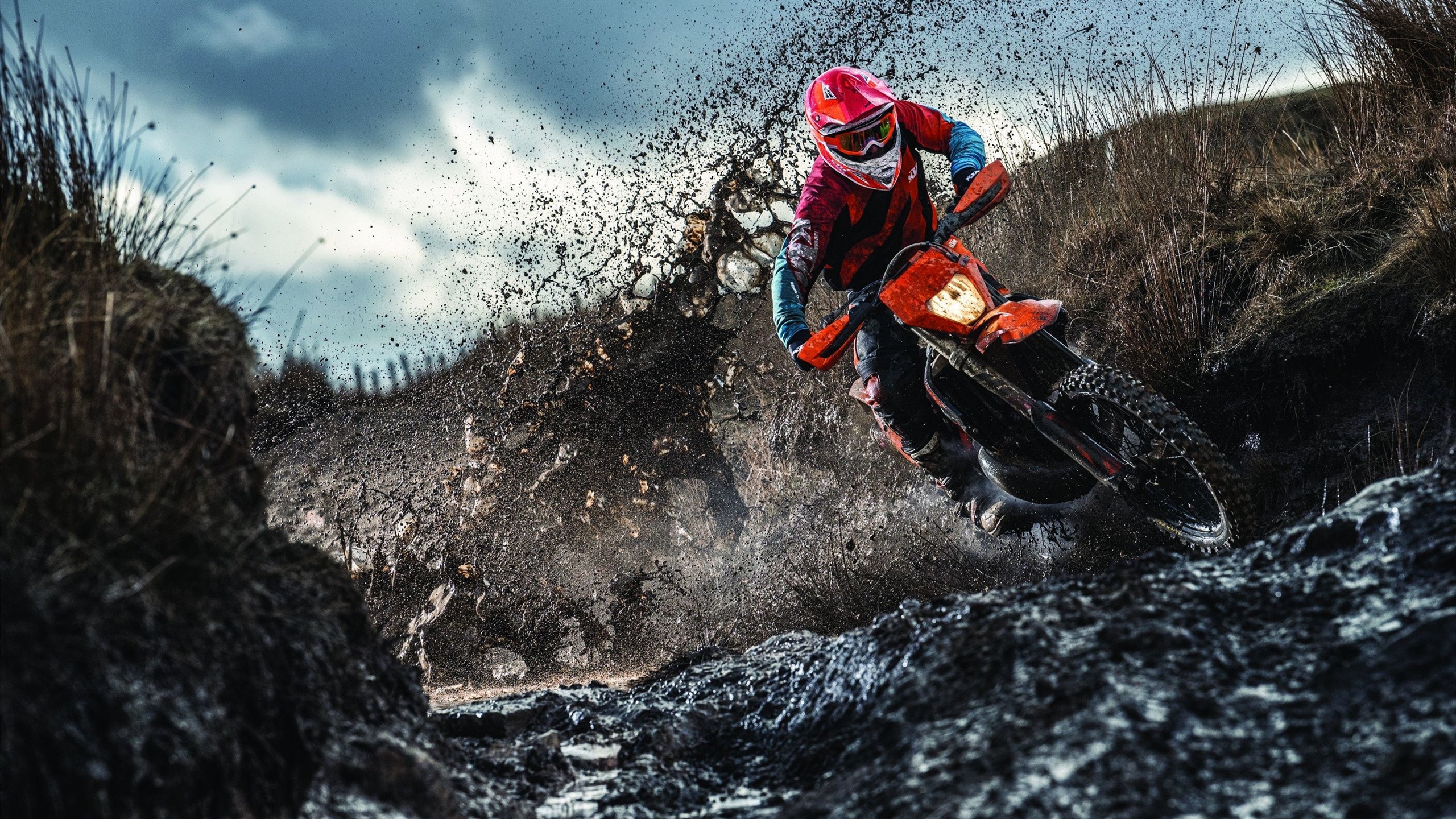 中国女篮的拼搏点燃全国激情，看看中国女篮